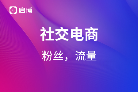 社交電商，粉絲，流量