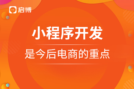 小程序開發(fā)是今后電商的重點